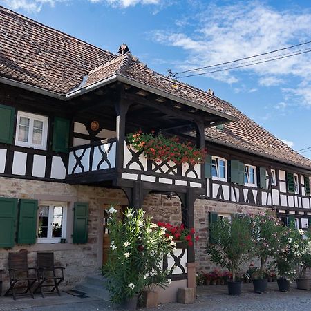 Quatzenheim Chambres D'Hotes De Charme A La Ferme Freysz מראה חיצוני תמונה
