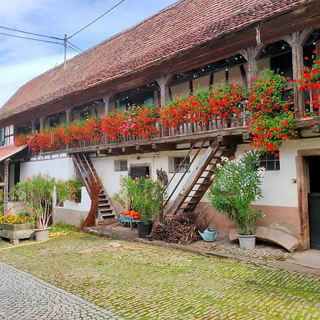 Quatzenheim Chambres D'Hotes De Charme A La Ferme Freysz מראה חיצוני תמונה