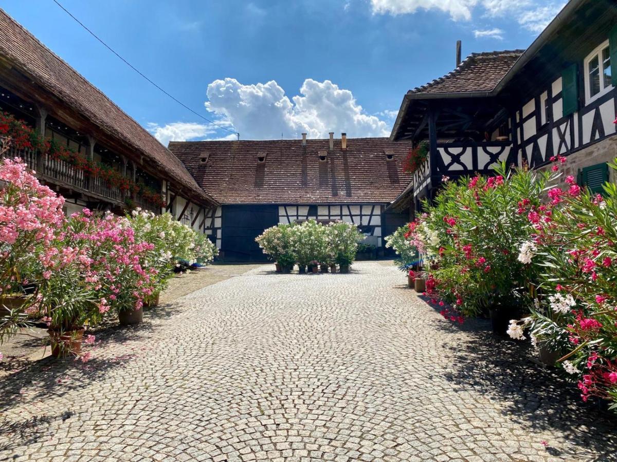 Quatzenheim Chambres D'Hotes De Charme A La Ferme Freysz מראה חיצוני תמונה