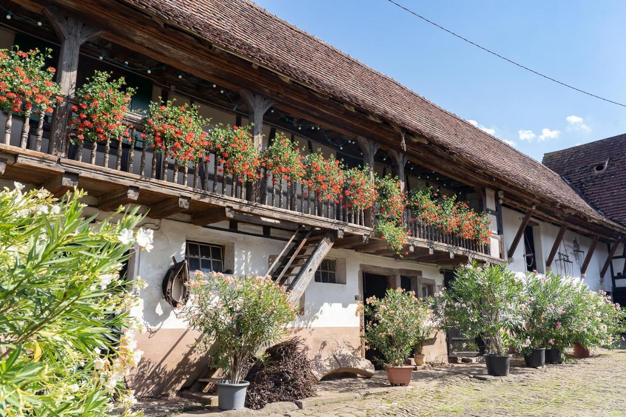 Quatzenheim Chambres D'Hotes De Charme A La Ferme Freysz מראה חיצוני תמונה