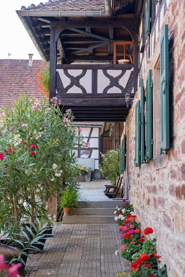 Quatzenheim Chambres D'Hotes De Charme A La Ferme Freysz מראה חיצוני תמונה