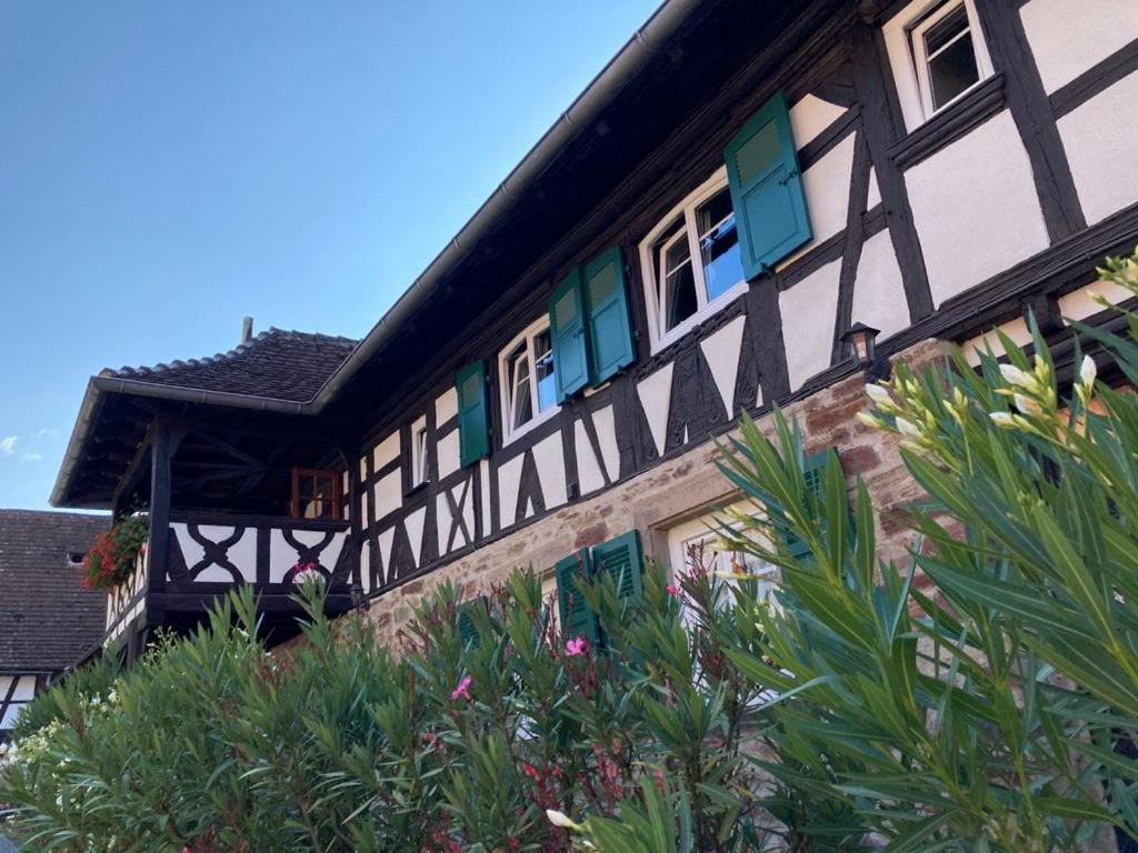 Quatzenheim Chambres D'Hotes De Charme A La Ferme Freysz מראה חיצוני תמונה