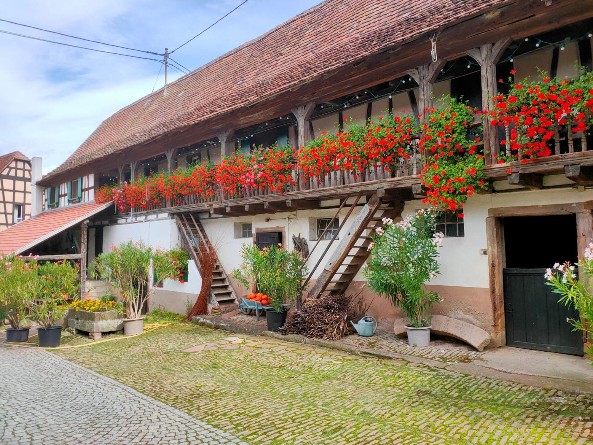 Quatzenheim Chambres D'Hotes De Charme A La Ferme Freysz מראה חיצוני תמונה